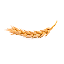 Gluténmentes