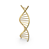 GMO-mentes