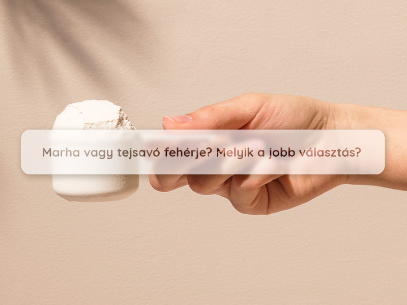 Marha vagy tejsavó fehérje? Melyik a jobb választás az edzéstervedhez?